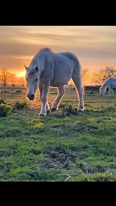 Christian Heller Photography & Art on Reels