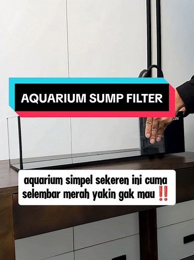 Aquarium Sump Filter: Tips dan Rekomendasi