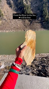 6.6K views · 3.6K reactions | In your daily lives, just because the...