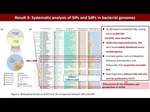 iMeta | PSOSP uncovers pervasive SOS-independent prophages