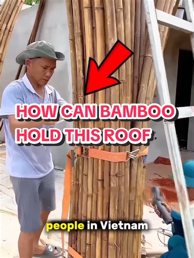 How Vietnam Builds Massive Structures With Bamboo How can bamboo support a massive roof? In Vietnam, builders combine deep bamboo foundations, reinforced concrete, and giant bamboo arches to create incredible structures. #BambooConstruction #BambooArchitecture #Vietnam #Construction #Architecture #Engineering