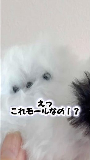 えっこれモールなの！？作り方はロングで！ #handmade #シマエナガ#モールドール#工作