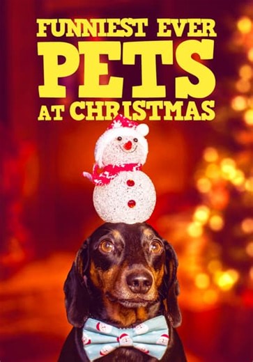 Funniest Ever Pets at Christmas (2019)