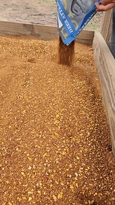 A little shake, a little pour, ring the dinner bell. #HerdHealth #WhitetailNutrition #DeerHunting #LongRangeAttractant #WhitetailDeer #DeerAttractant #bigandj | Big & J