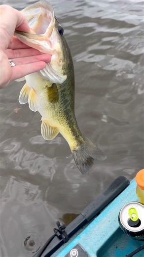 Post Tournament Bassmaster Kayak Series Caddo Lake April 18-19, 2026 | Breakdown, Winners & Results