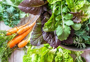 You Should Start Planting Your Fall Vegetable Garden Sooner Than You Think