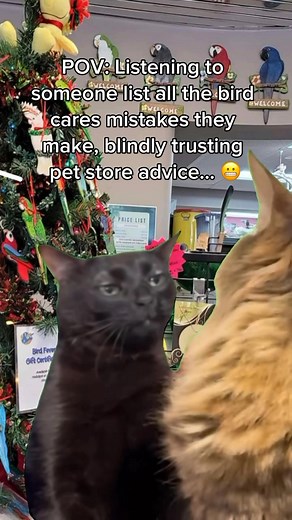 I have always found that the large and even small commercial pet stores are horrible when it comes to care of exotics, especially birds. Fortunately, I have an exotic specific store near me and an avian specialist store (around a 2 hour drive) that I will drive up to on weekends once in a blue moon, that actually takes care of all their exotics appropriately and provides adequate supplies. Though majority of the time, I order my supplies online. Often times these other pet stores promote all see