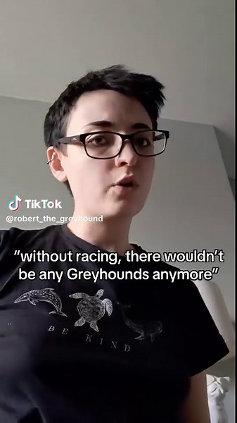 Greyhounds have been around for thousands of years before greyhound racing, and they will be for long after it’s gone. No other breed of dog is soooo monopolised by a commercial industry, particularly one so connected with gambling. If border collies can exist outside of sheep herding, poodles can exist outside of gun dog work and jack russels exist outside of ratting, why can’t greyhounds exist outside of their original purpose (which isn’t even racing I might add!). In countries where commerci
