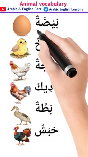 MD Atik on Instagram: "Animal names in Arabic and English #speakarabic #arabiclanguage #learnenglishonline"