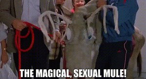 the magical, sexual mule!