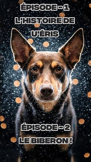 Kelpie Australien : ÉPISODE 1 - U'ERIS DE LA GROTTE DES ONEIROI🌛