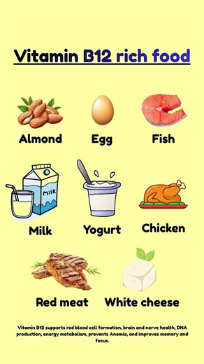 Benefits of Vitamin B12 for Your Body