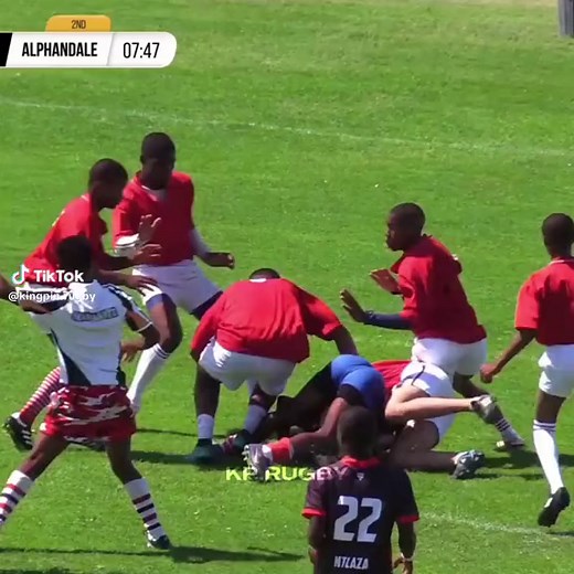 Rugby Celebration Fail Compilation