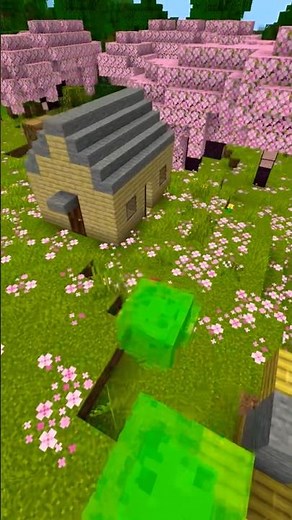 MINECRAFT LOOP that you can't stop watching 😵‍💫🔄