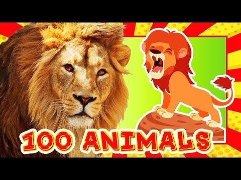 100 Animals for Kids 🐾 Learn Names & Sounds 🎴 Flashcards & Real Animal Videos for Preschool