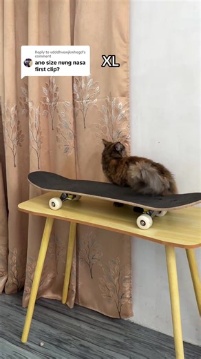 Affordable Beginner Skateboards for Learning