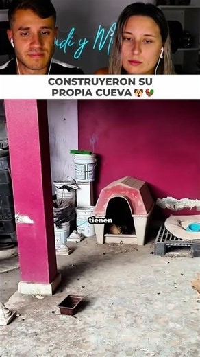 When your pets take digging holes way too seriously and build a bunker