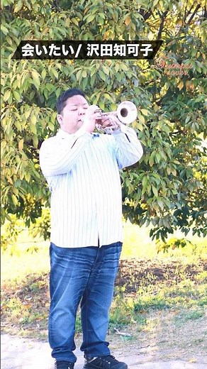 【トランペット】 会いたい / 沢田知可子 #trumpet #トランペット #会いたい #沢田知可子