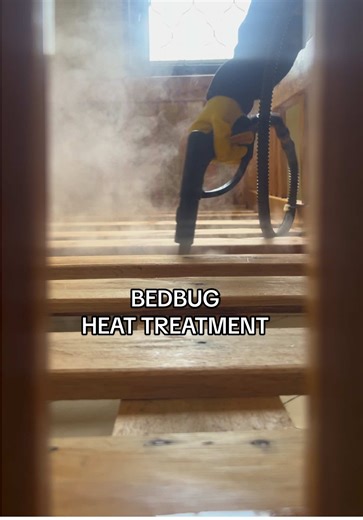 Effective Bedbug Control Solutions in Uganda