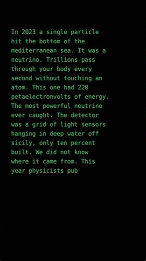 the neutrino