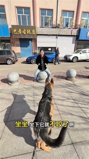 My Cat Thinks This is a Big Deal! 🐾 Cat Fails Cute Cats