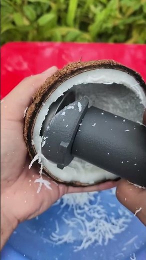 Electric coconut grainder ✨ | comment link