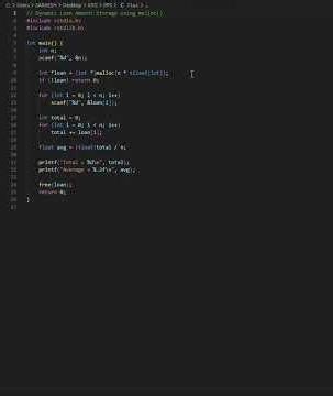Dynamic Loan Amount Storage using malloc()