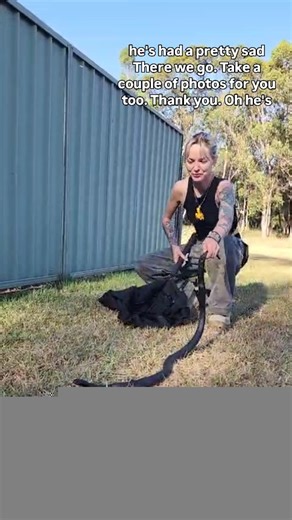 Here’s the follow up from yesterday’s Schofields red belly. This was the moment we finally secured him after two attempts and a smart plan with the client to block his escape point under the concrete. Perfect example of how quick thinking and the right guidance can make a risky situation safe. If you see a snake on your property, act fast and call a licensed professional. Snakes move quickly and hide even quicker. Servicing Hawkesbury, Blacktown, The Hills and Penrith. Call Medusa Snake Catcher 
