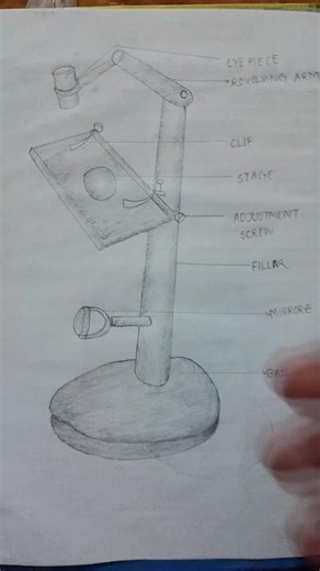 simple microscope drawing with pencile