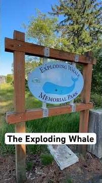 The Exploding Whale