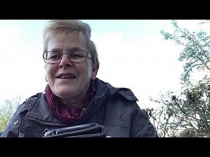 Hoe werkt de app Birdnet