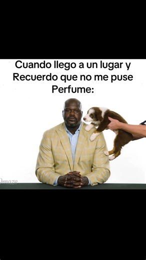 Cotiza tu perfume en nuestro Instagram 🫡 • • #perfumetiktok #tiktokviral #viral #perfumetok #paratiiiiiiiiiiiiiiiiiiiiiiiiiiiiiii