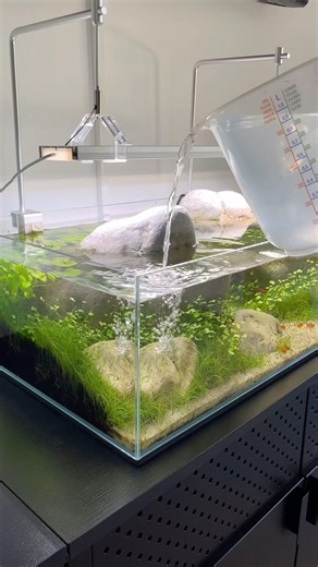 Combatting evaporation 🔥 #aquarium #aquascape #aquascaping #plantedtank #plantedaquarium