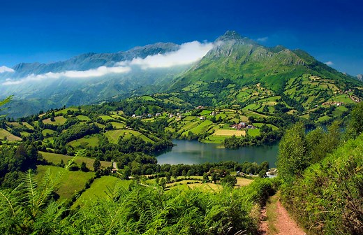 Live and Learn on Organic Farms