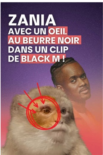 Les animaux ne sont pas des acteurs ! ❌🐒 Zania a été exploitée de nombreuses fois par son dresseur, Pierre Cadéac, pour des tournages. Il y a quelques années, elle a été exploitée pour le tournage du clip “#Askip” du rappeur @BLACK M. D’autres animaux détenus par Pierre Cadéac ont été exploités pour le clip de “La nuit porte conseil”. Comment Black M a pu accepter de tourner avec un singe alors que ce dernier avait un oeil au beurre noir ?! L’excuse du “je ne savais pas” n’est pas ententable ! 
