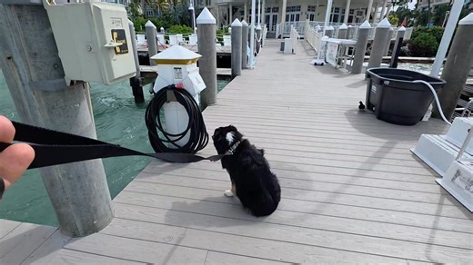 KEY WEST HARBOR CONDITIONS NOVEMBER 10TH 2025......... #KEYWESTCHARTERBOAT | FishMonster Key West