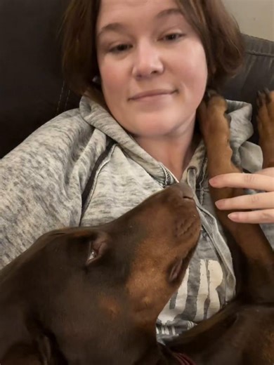 FDT F ice. #doberman #fyp #california #vetmed #political | Doberman