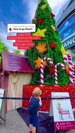 Guide to Getting to Tanglin Mall by MRT