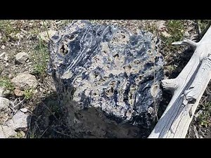 Obsidian Cliff, Yellowstone National Park