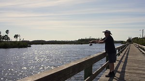 Discover all the family-fun activities on Florida's Adventure Coast, Brooksville-Weeki Wachee. 🌴✨ | Florida's Adventure Coast