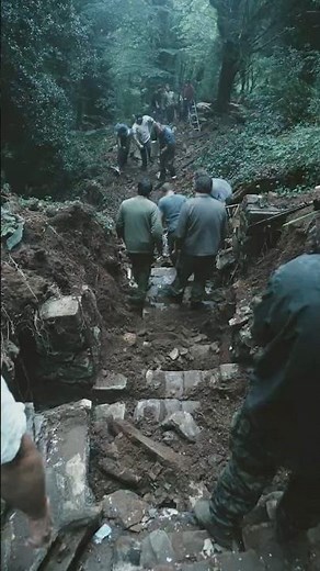 Forest Floor Collapse Reveals Ancient Stone Steps Underground