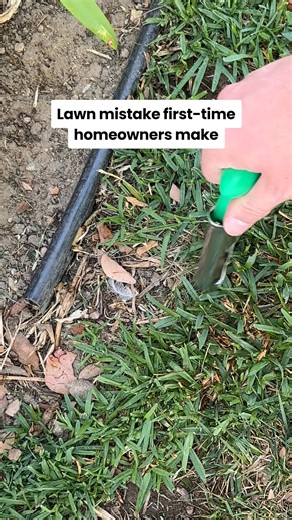 8.7K views | Grow a greener lawn that’s better for pets, people, and planet with Sunday. | Sunday | Facebook