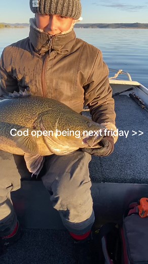 Keen #murraycod #daiwa #millerods #murraycodlures #murraycodfishingaustralia #murraycodfishing #codopen #codseason #keen