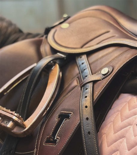 In love 🤎 #saddle #ikonic #amazing #foryoupage❤️ #viral #epic #horseoftiktok @selinabockmann