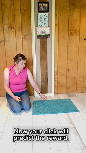 Training is a mechanical skill! Everyone can be a clicker trainer, you just need to practice! Start without your dog, keep your hand still when you click. Next keep your reward hand still until you’ve clicked. Once you’ve got the hang of it, have a go! Save this for when you next find your clicker 🤭 and let me know in the comments if I can help! #azaphofmagic #clickertraining #dogtraining #dogtrainingtips | Kiss Dog Training