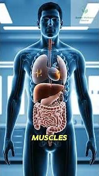 What If You Fasted 16 Hours Daily for 30 Day