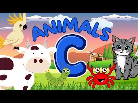 Learn 20 Animals That Start With C 🐪| Animal for Kids | Animal Names and Sounds| Educational Video