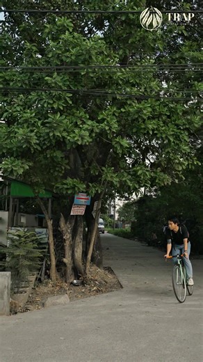 Barista Skills Showcase: Mastering Latte Art