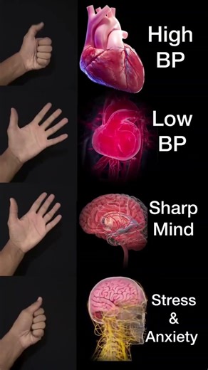 Simple Habits for a Healthier, Happier You, Noraml Excercise #HealthAndWellness #HealthyLifesty