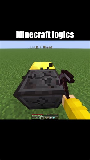 Minecraft Logics That Make NO Sense 😂 #shorts